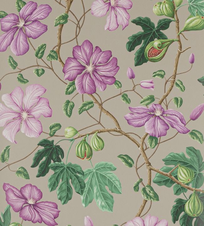 Castellane Wallpaper - Purple