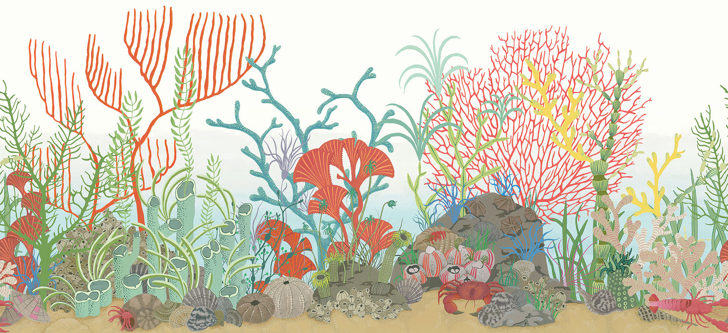 Archipelago Border Wallpaper - Multicolor