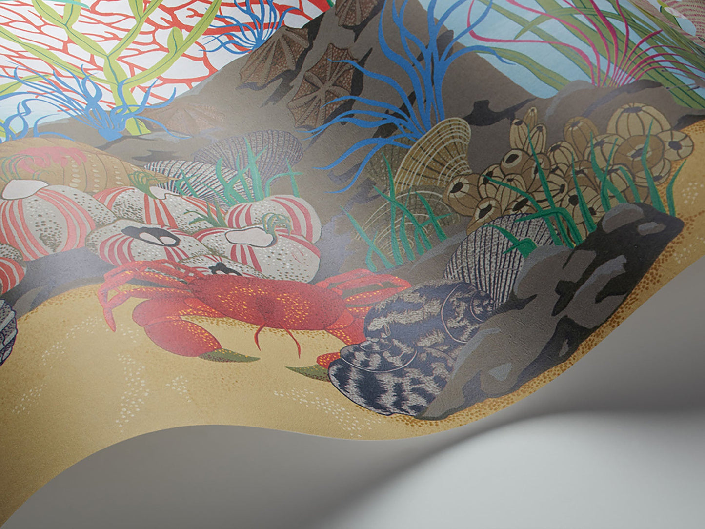 Archipelago Border Room Wallpaper - Multicolor