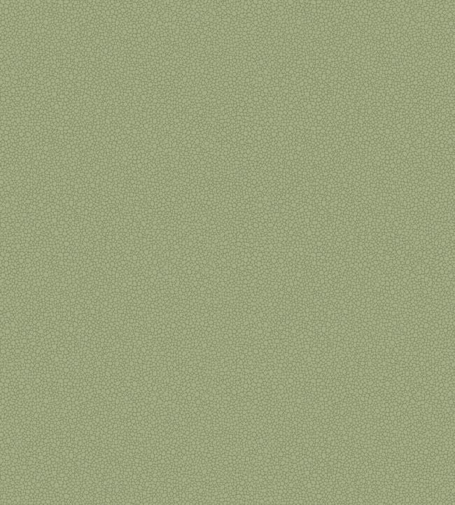 Pebble Wallpaper - Green
