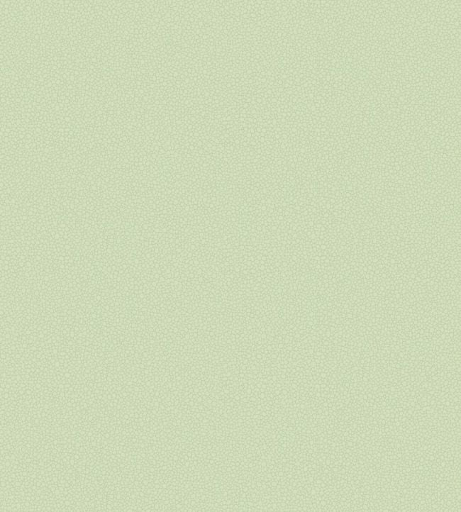 Pebble Wallpaper - Green
