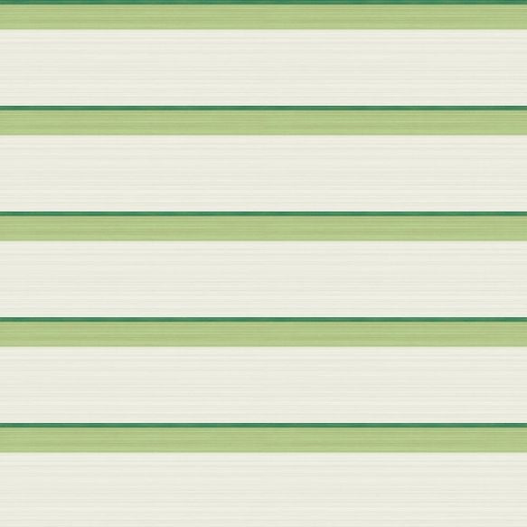 Jaspe Border Wallpaper - Green