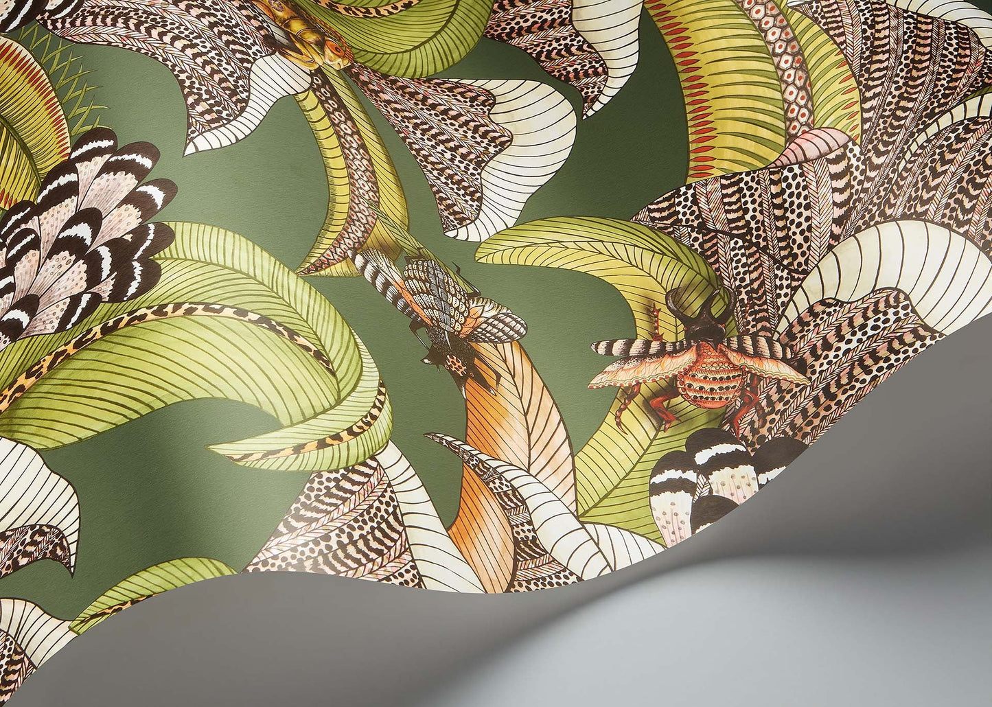 Hoopoe Leaves Room Wallpaper - Green