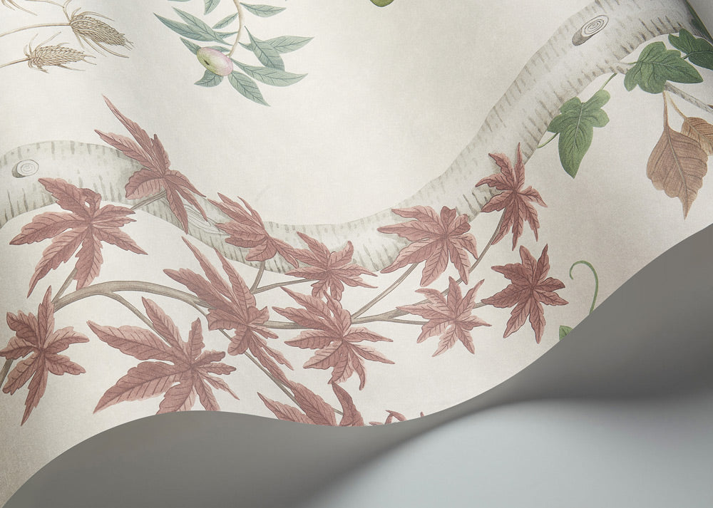 Seasonal Woods Wallpaper - Multicolor - Cole & Son