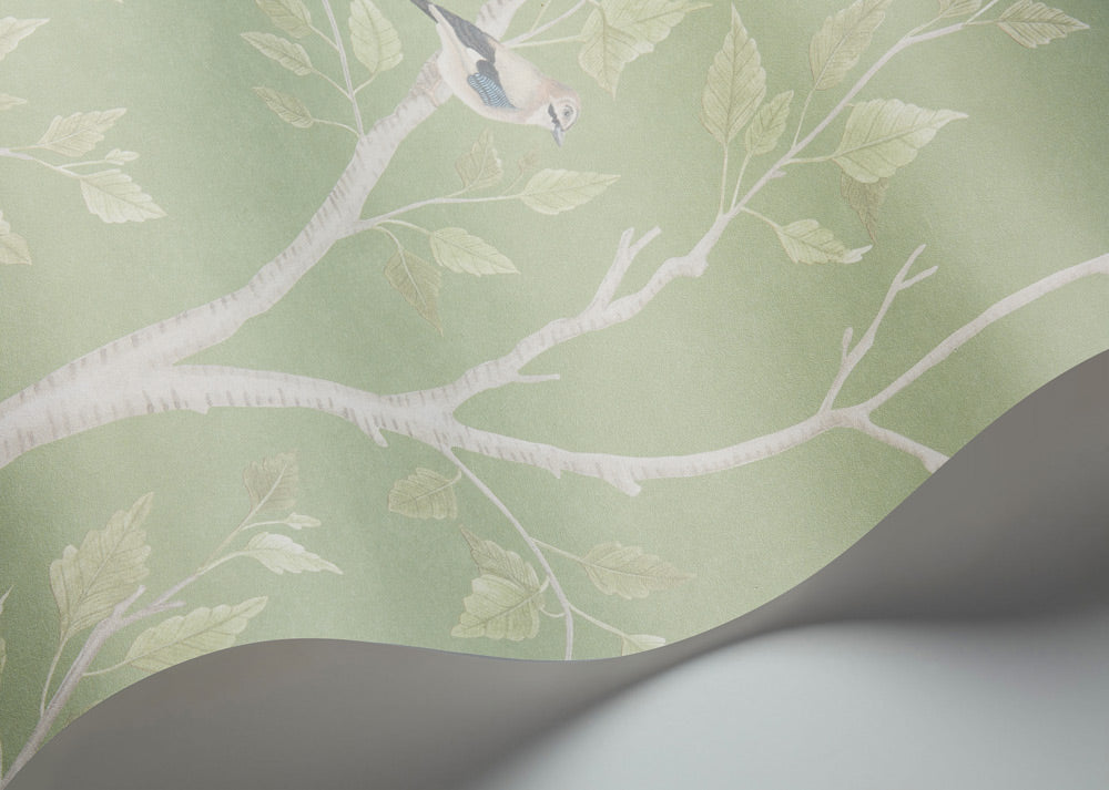 Seasonal Woods Wallpaper - Green - Cole & Son