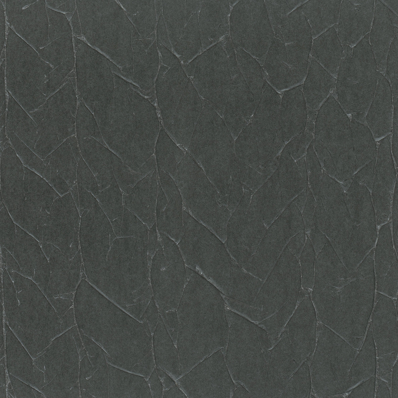 Paper Geo Natural Opulence Black Wallpaper - Galerie