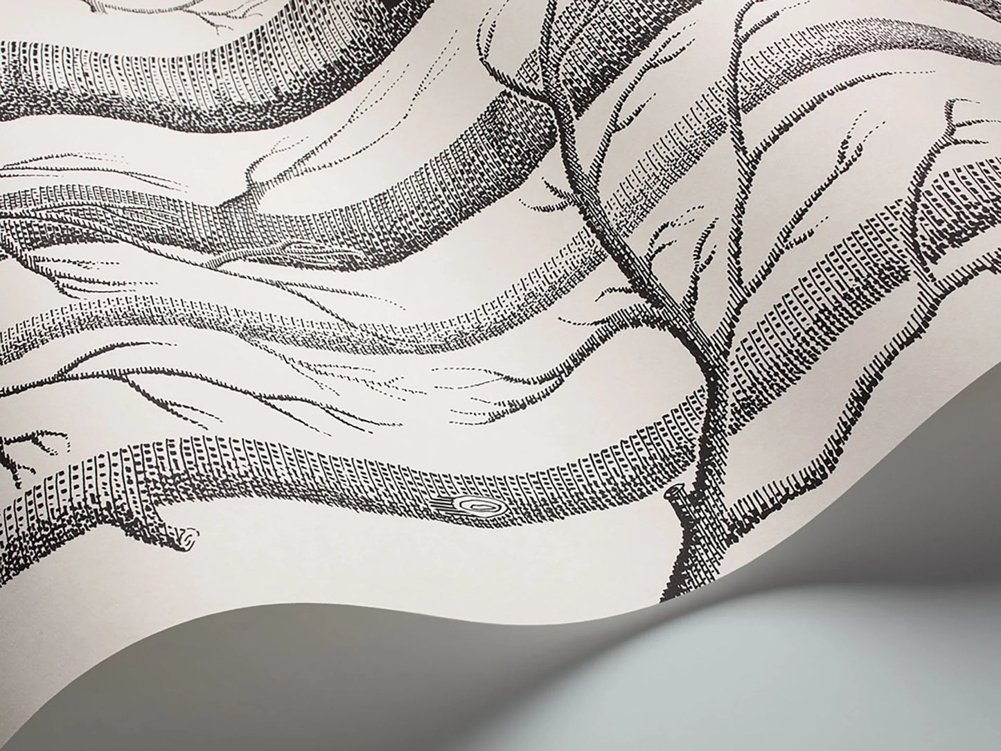 Woods Wallpaper - Gray - Cole & Son