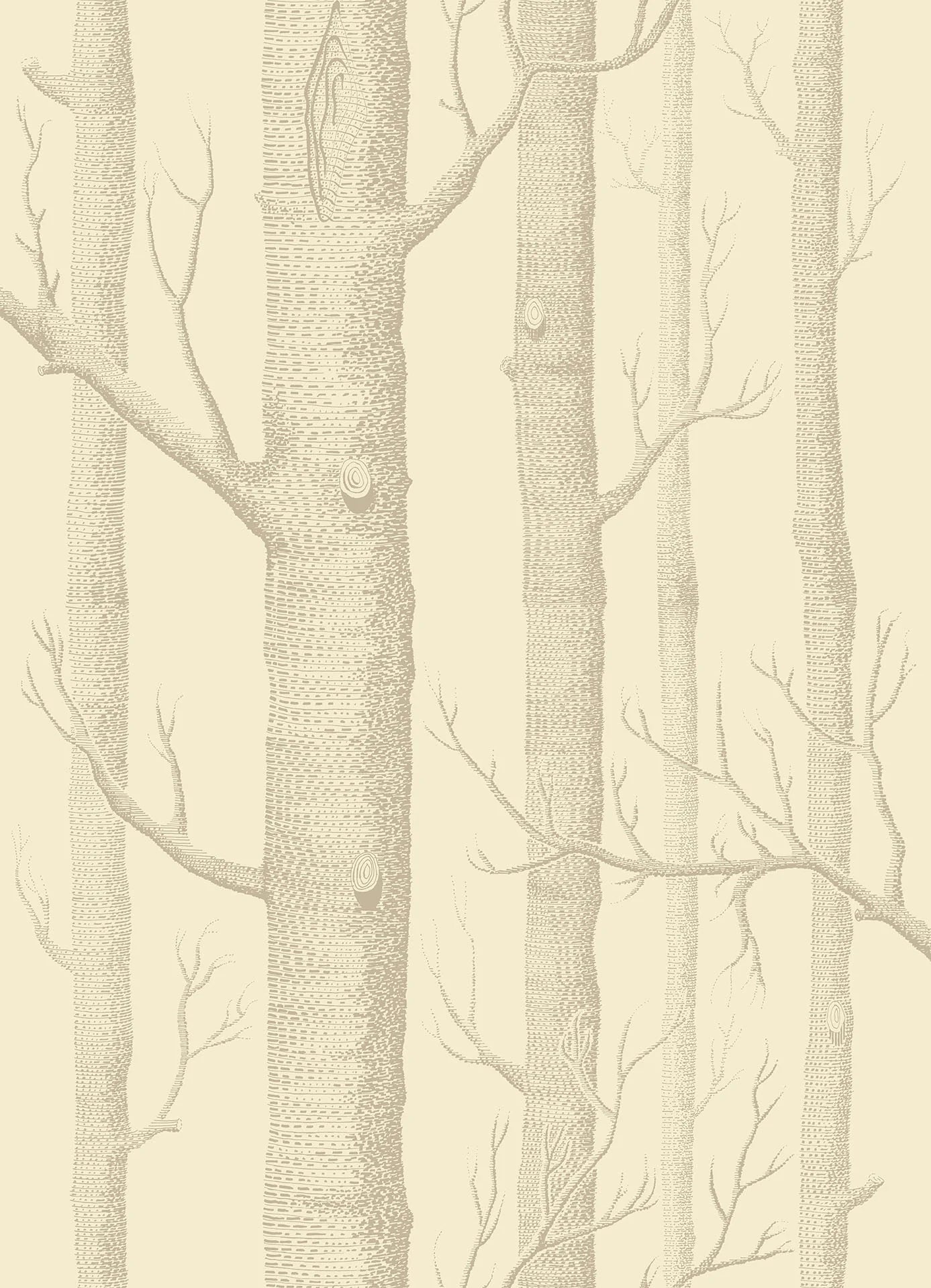 Woods Wallpaper - Cream - Cole & Son