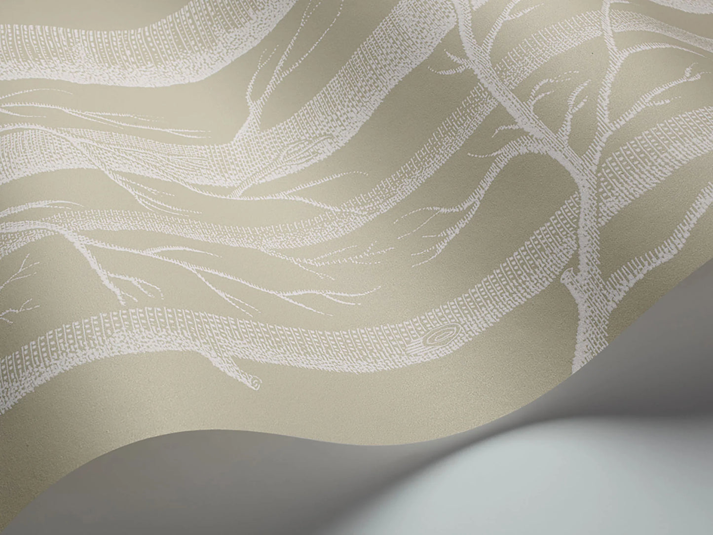 Woods Wallpaper - Sand - Cole & Son