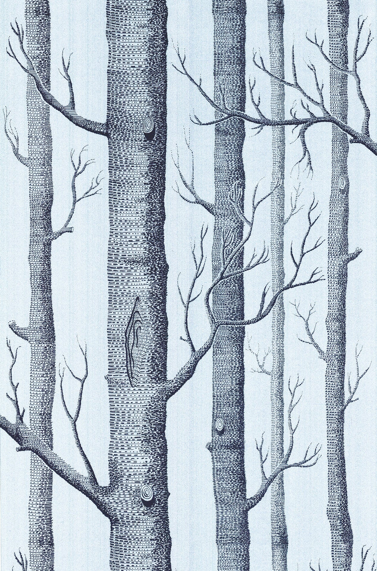 Woods Wallpaper - Teal - Cole & Son