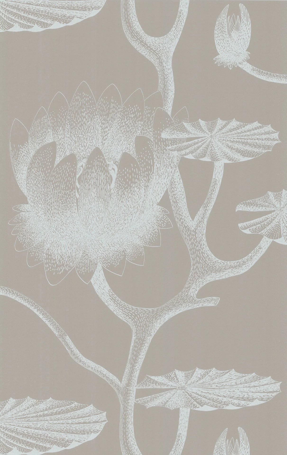 Lily Wallpaper - Cream - Cole & Son