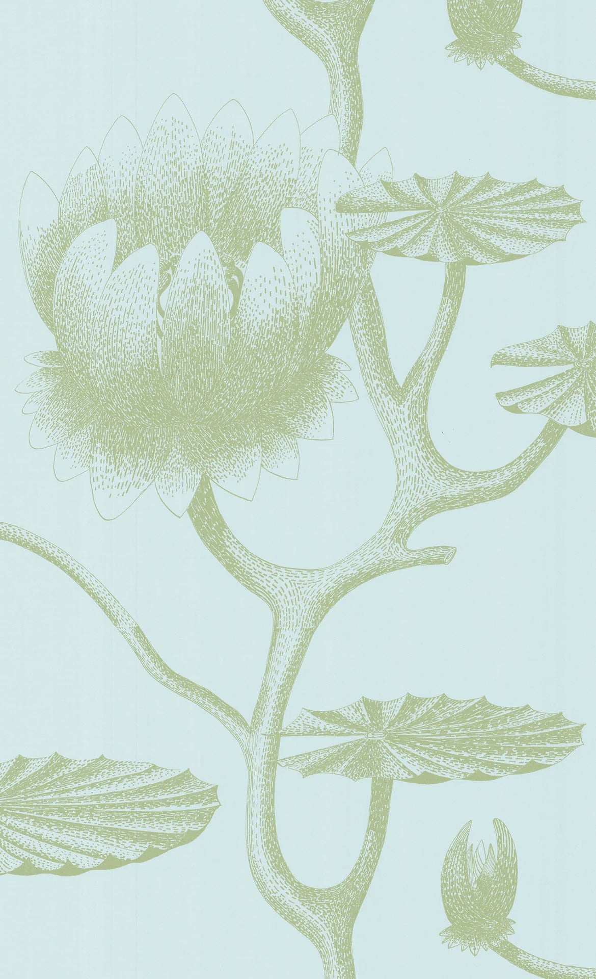 Lily Wallpaper - Teal - Cole & Son