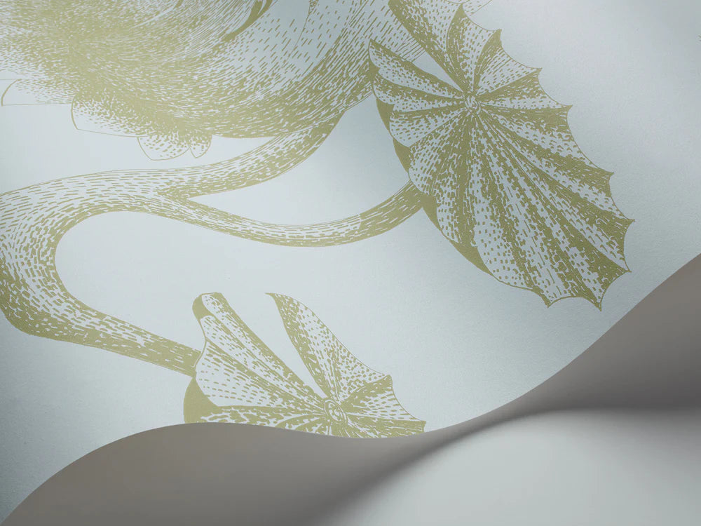 Lily Wallpaper - Teal - Cole & Son