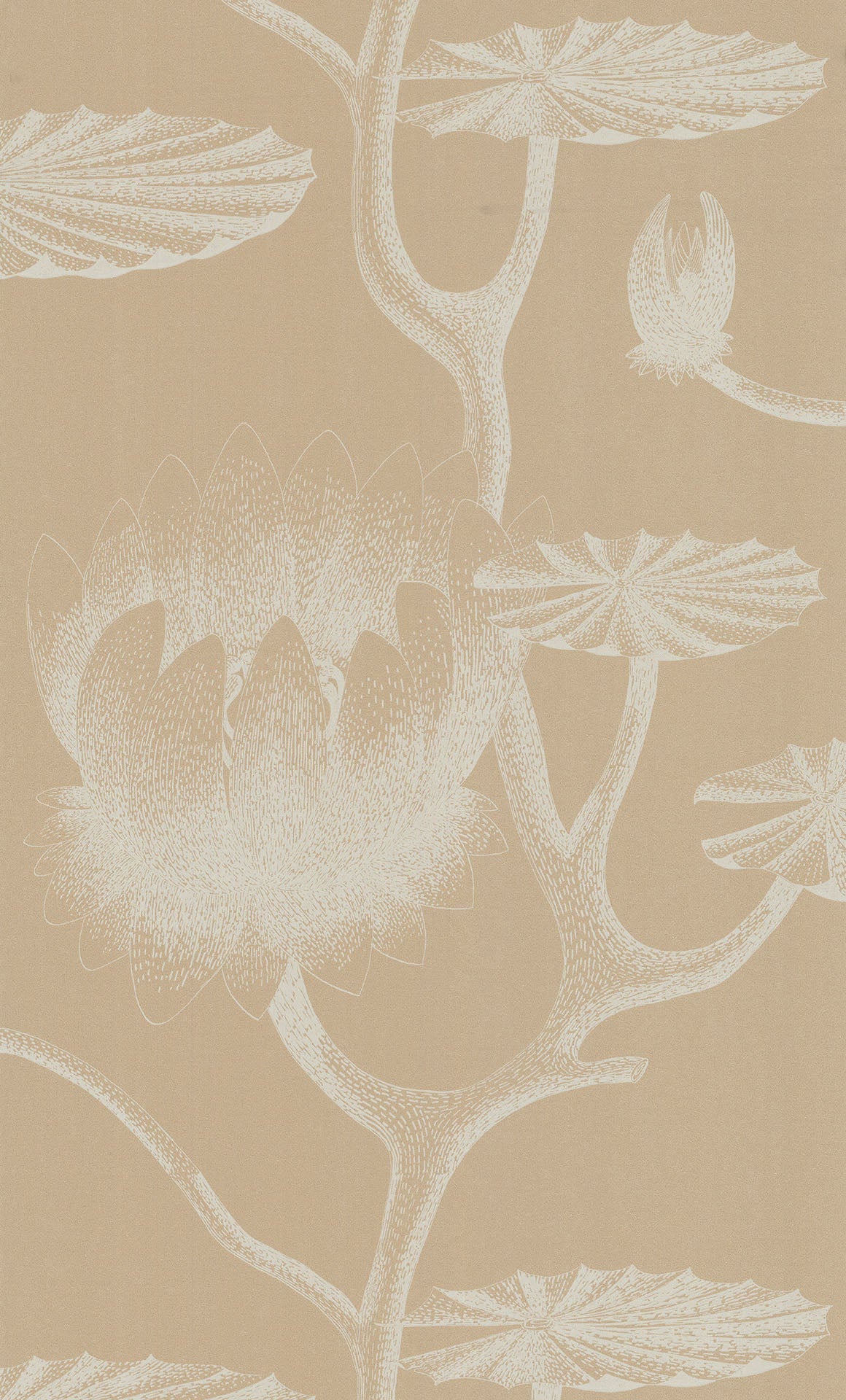 Lily Wallpaper - Sand - Cole & Son