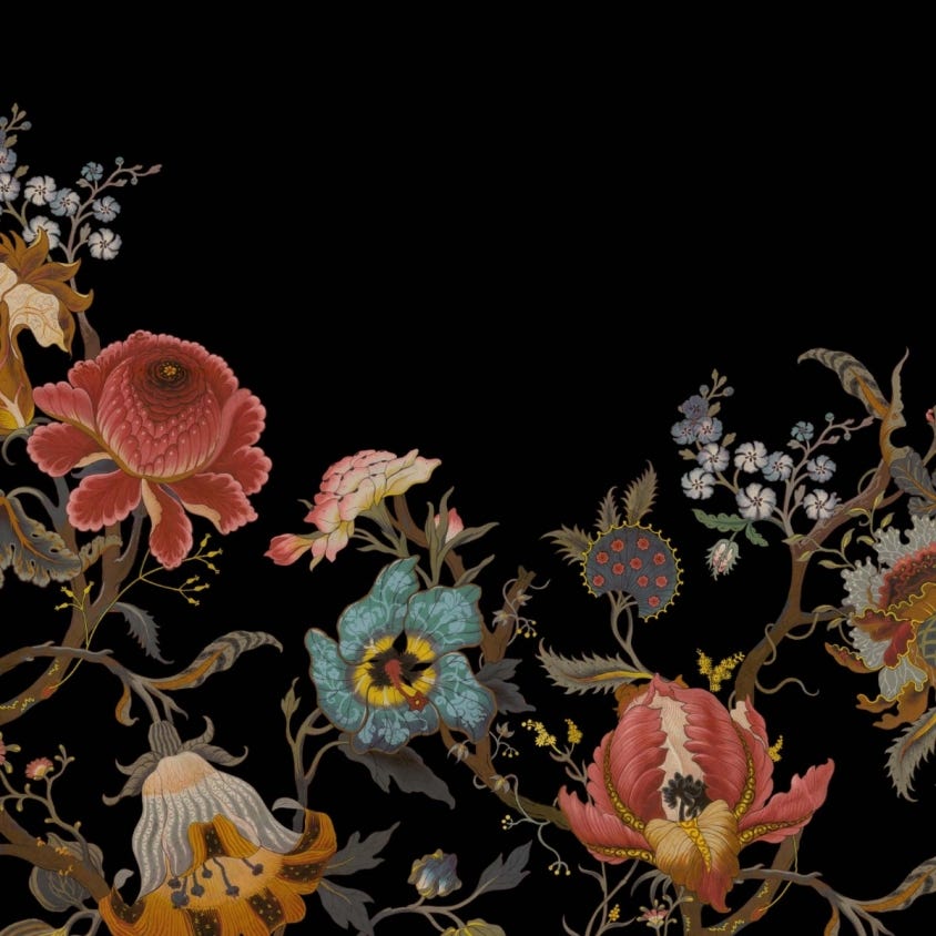 ARTEMIS Climbing Walls Wallpaper - Black - House of Hackney
