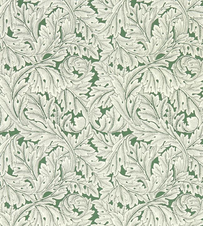 Acanthus Wallpaper - Sage - W0175/01- Clarke & Clarke