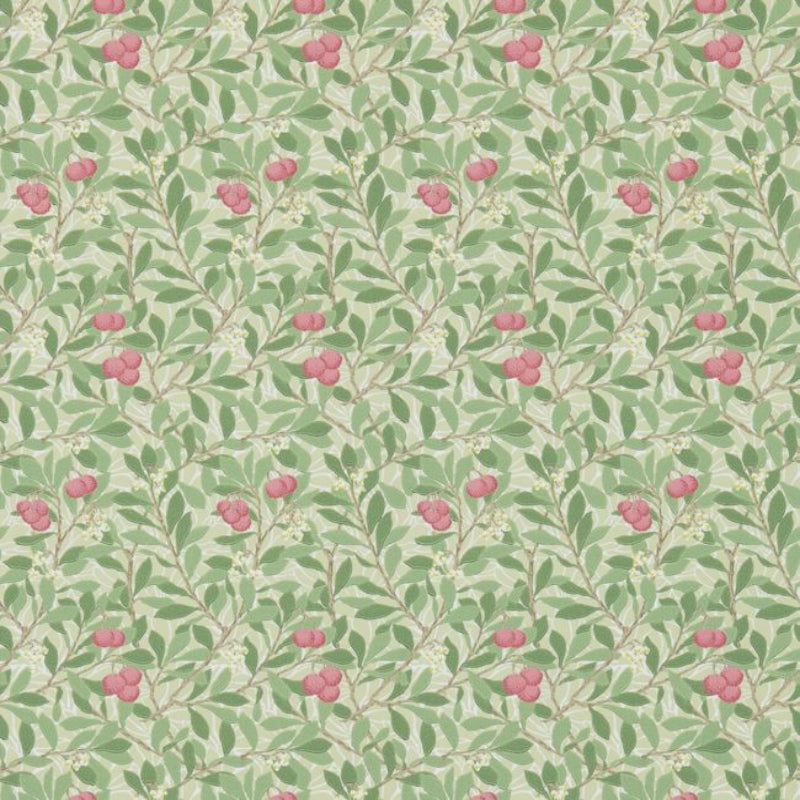 Arbutus Wallpaper - Olive/Pink - 214720 - Morris & Co