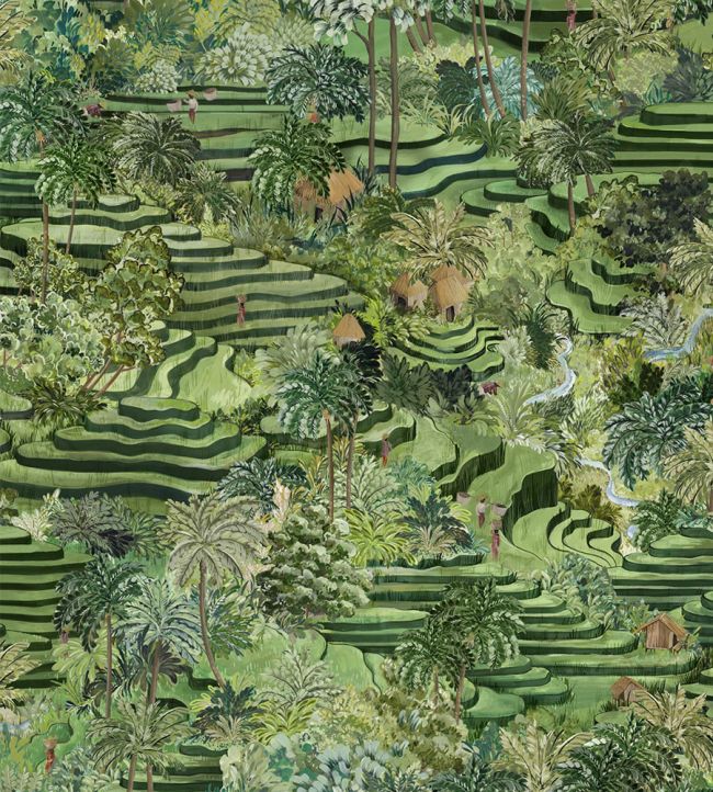 Rice Terrace Wallpaper - Green