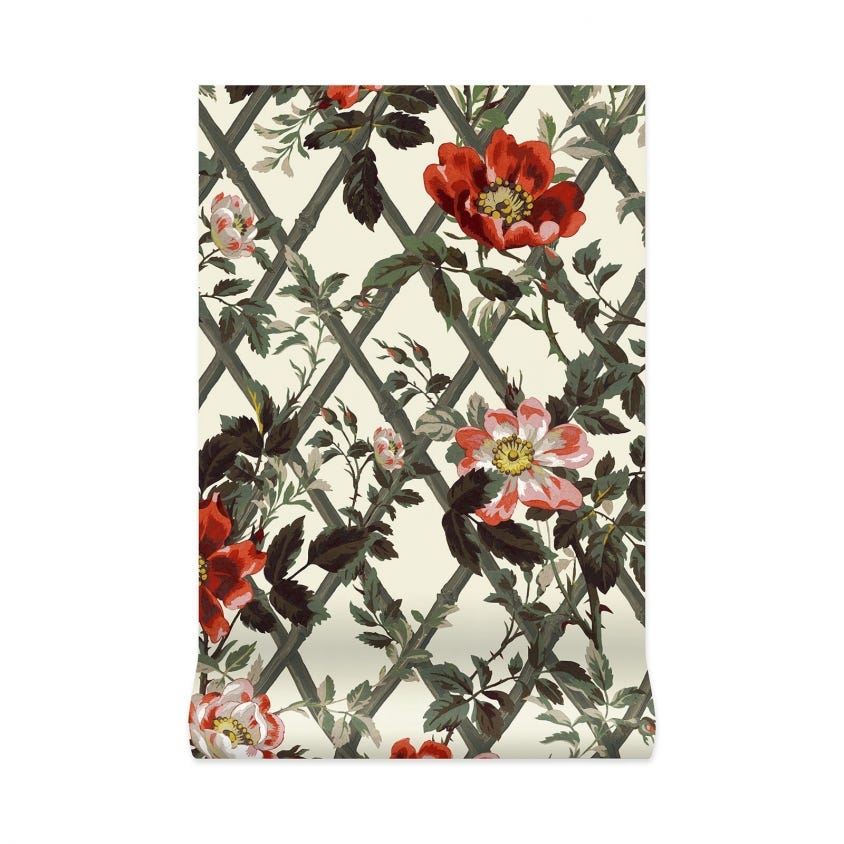 BRYHER ROSE Wallpaper - Cinnabar - House of Hackney