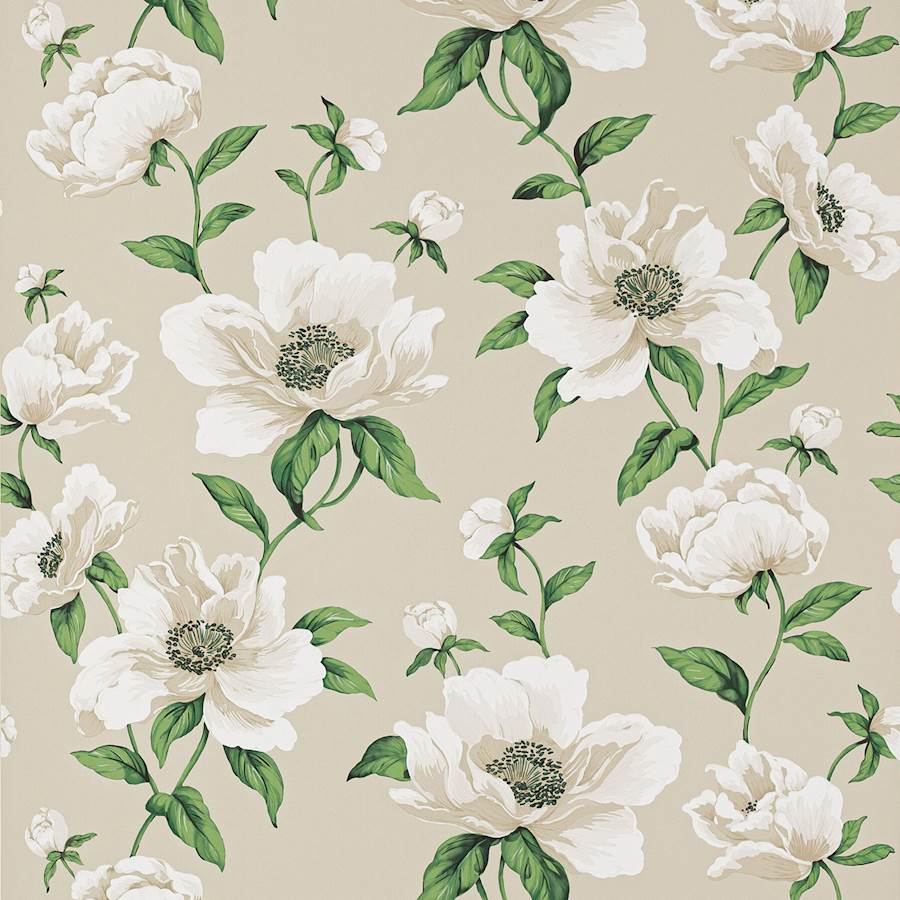 Bianca Wallpaper - Nacre - 03118-01 - Manuel Canovas