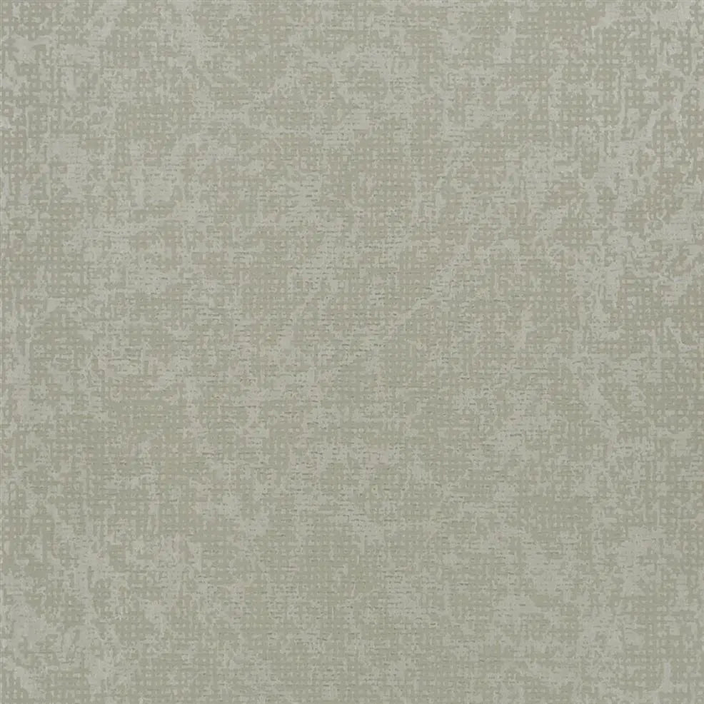 Boratti Wallpaper - Birch - PDG682/01 - Designers Guild
