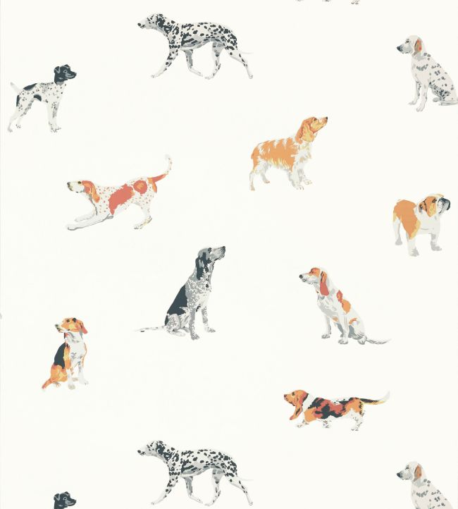 Buddy Wallpaper - Multi - AT24600 - Anna French