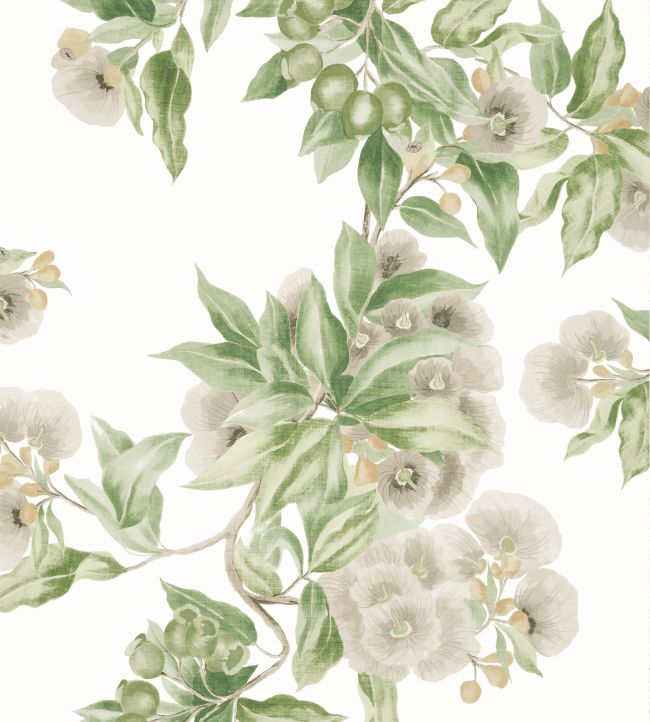 Camellia Garden Wallpaper - Spring on White - AT24551 - Anna French