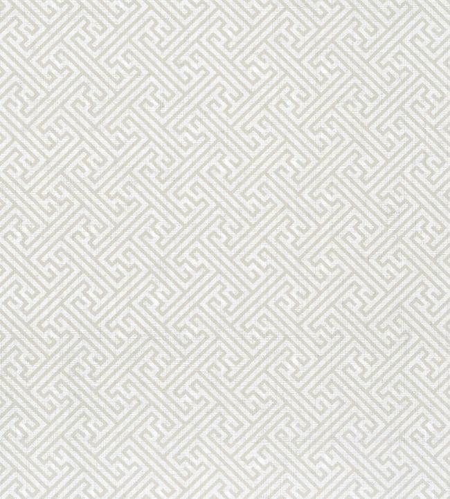 Charlotte Raffia Wallpaper - Light Taupe - AT9839 - Anna French