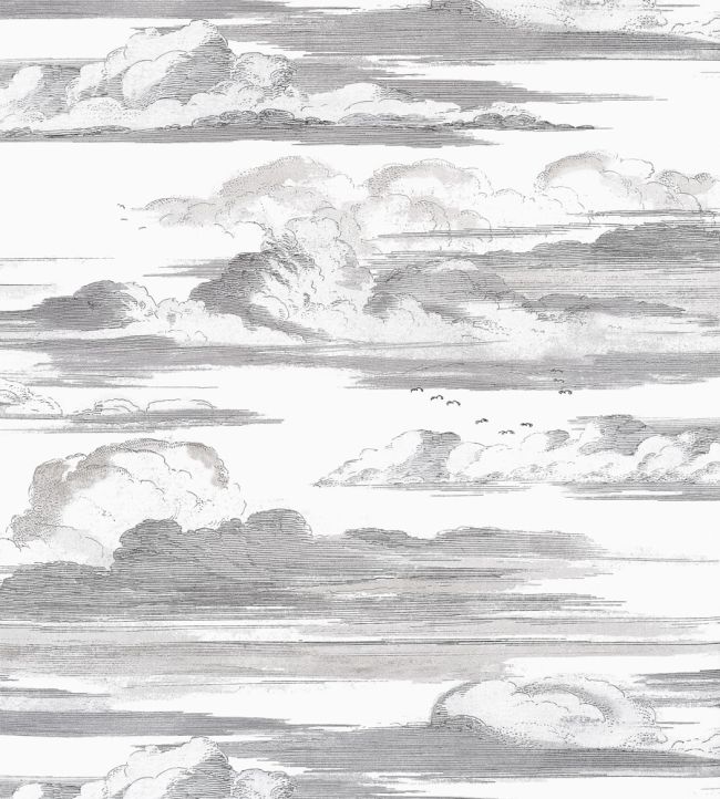 Cielo Wallpaper - Black and White - AT57872 - Anna French