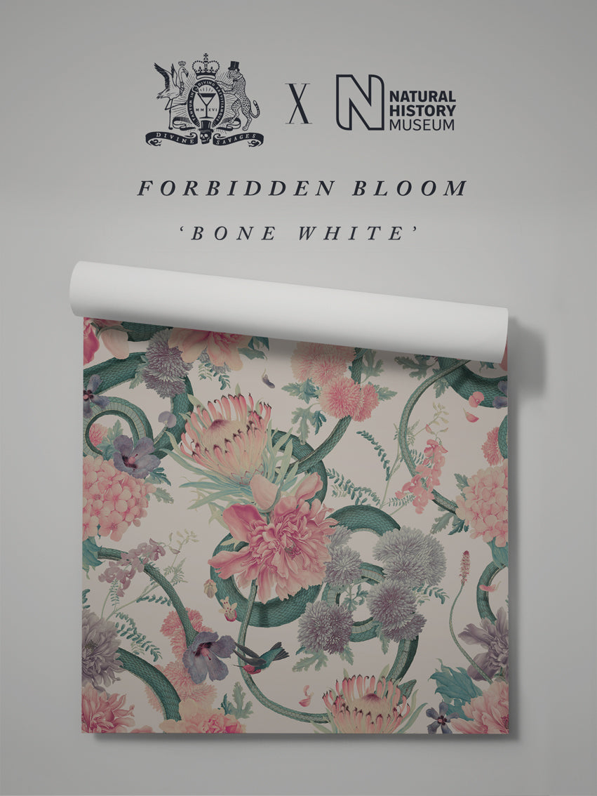 Forbidden Bloom Wallpaper