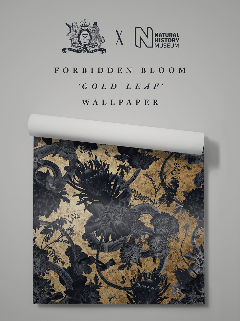 Forbidden Bloom Wallpaper