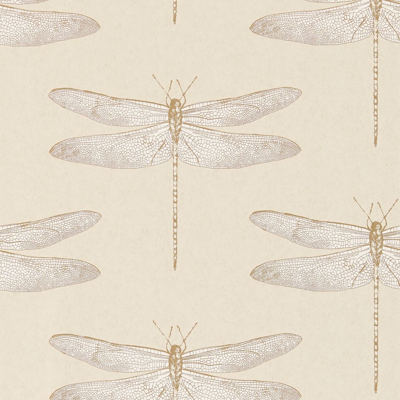 Demoiselle Wallpaper - Shell - HGAT111239 - Harlequin