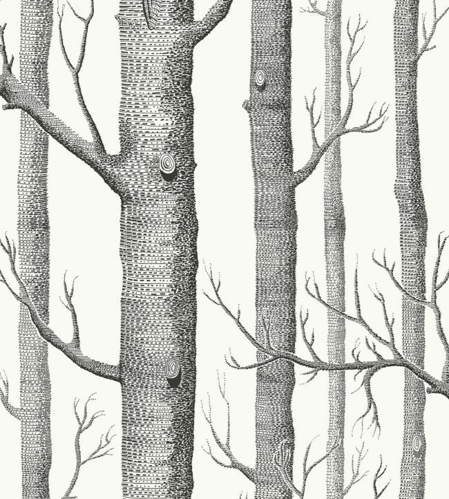 Woods Fabric - Gray