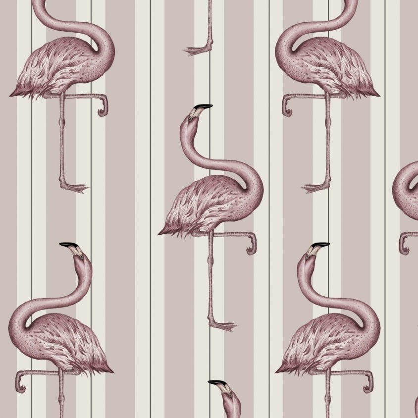 FLAMBOYANCE Wallpaper - Off-White & Macaroon-Pink - House of Hackney