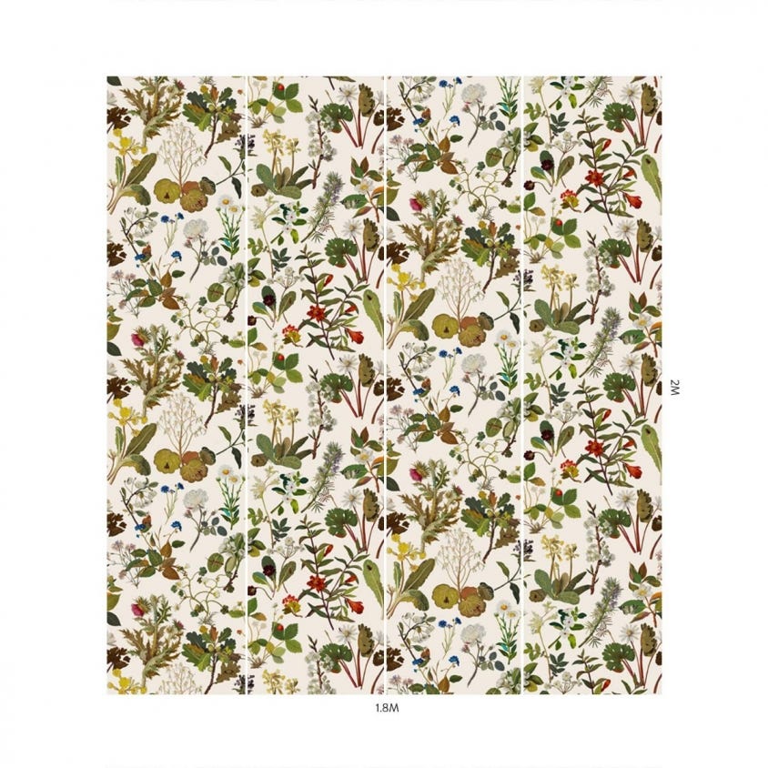 HERBARIUM Wallpaper - Ecru - House of Hackney