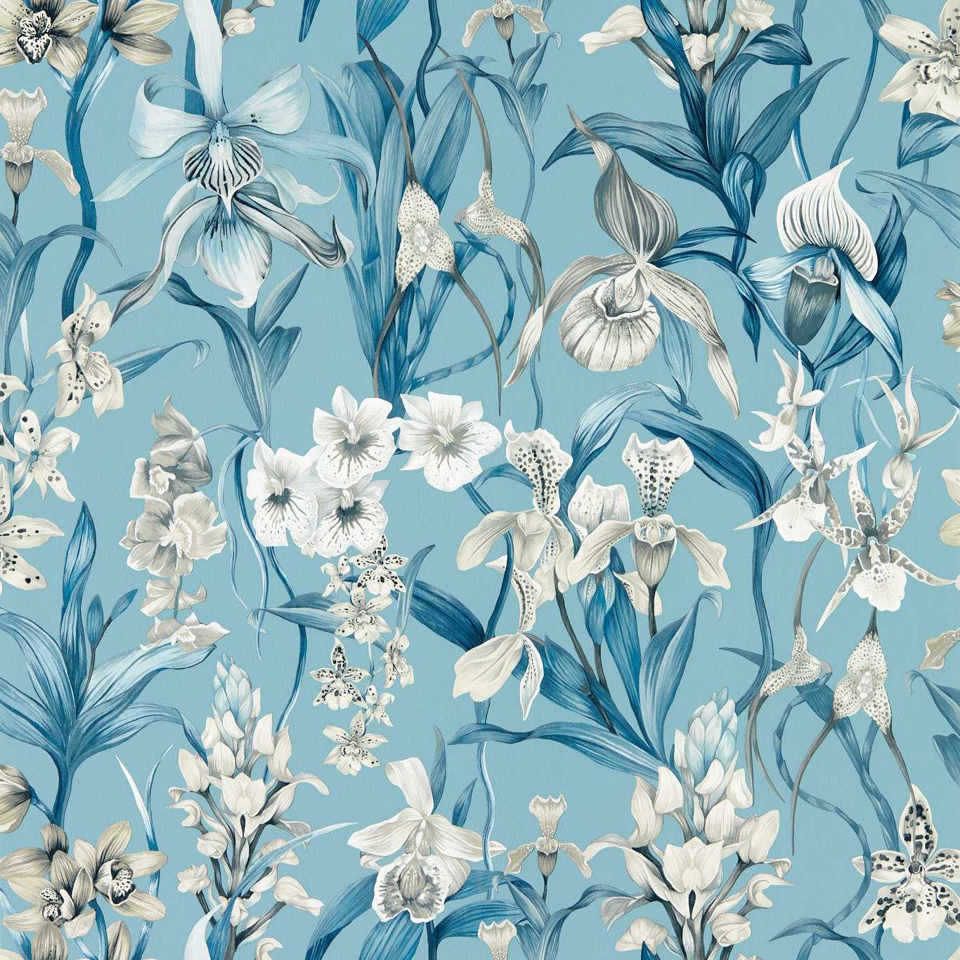 Kalina Wallpaper - Celestial/Murmuration/Awakening - HC4W113008 - Harlequin