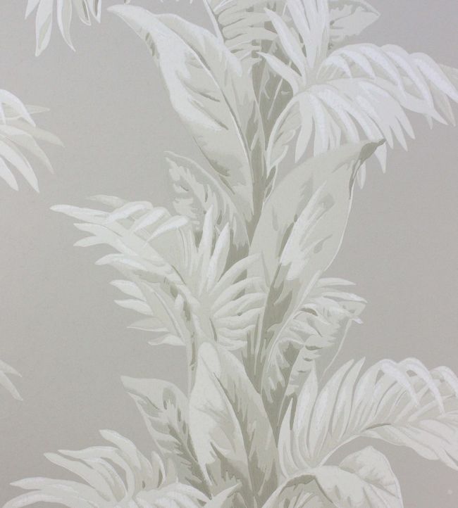 Palmetto Wallpaper - Gray