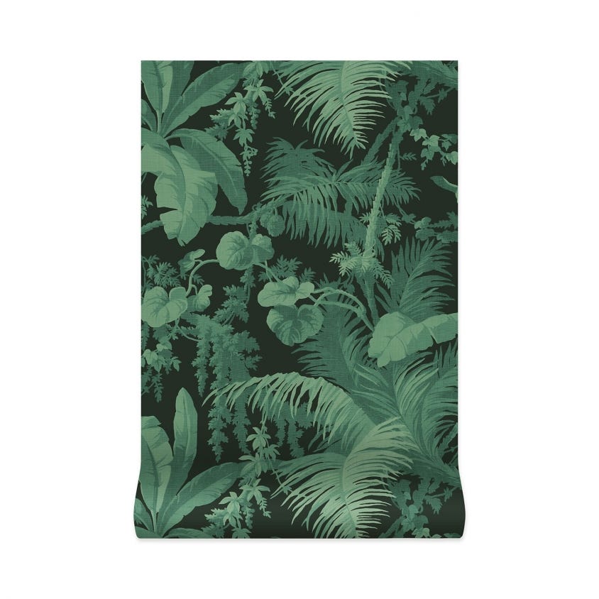 PAMPAS Wallpaper - Noir - House of Hackney