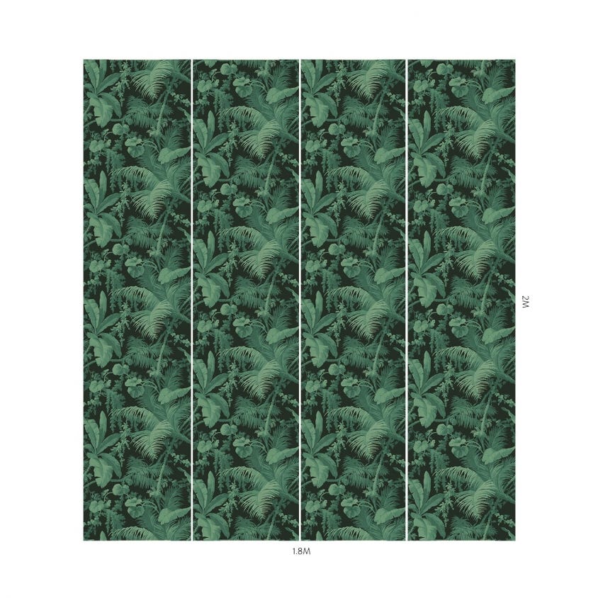 PAMPAS Wallpaper - Noir - House of Hackney