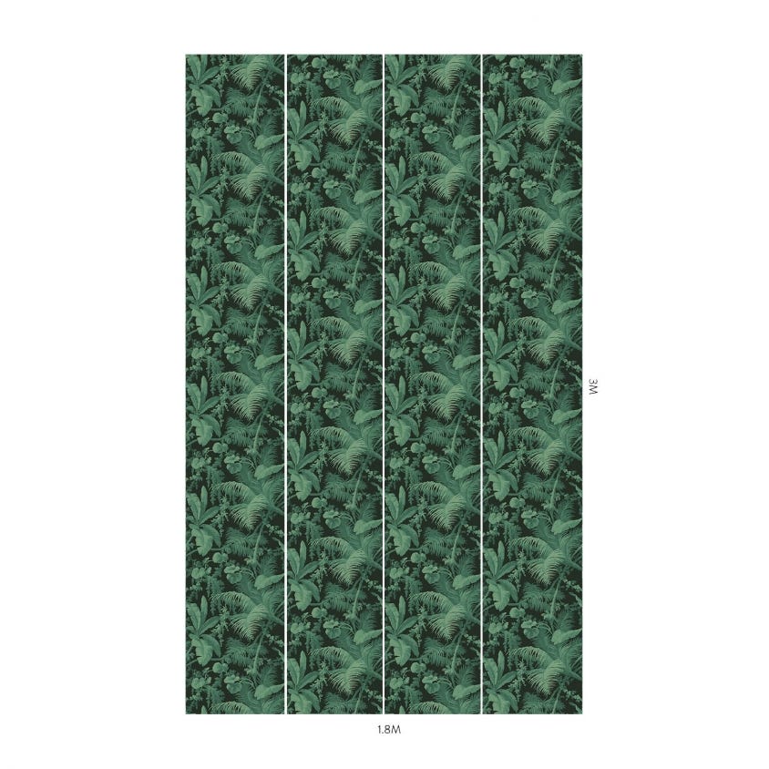 PAMPAS Wallpaper - Noir - House of Hackney
