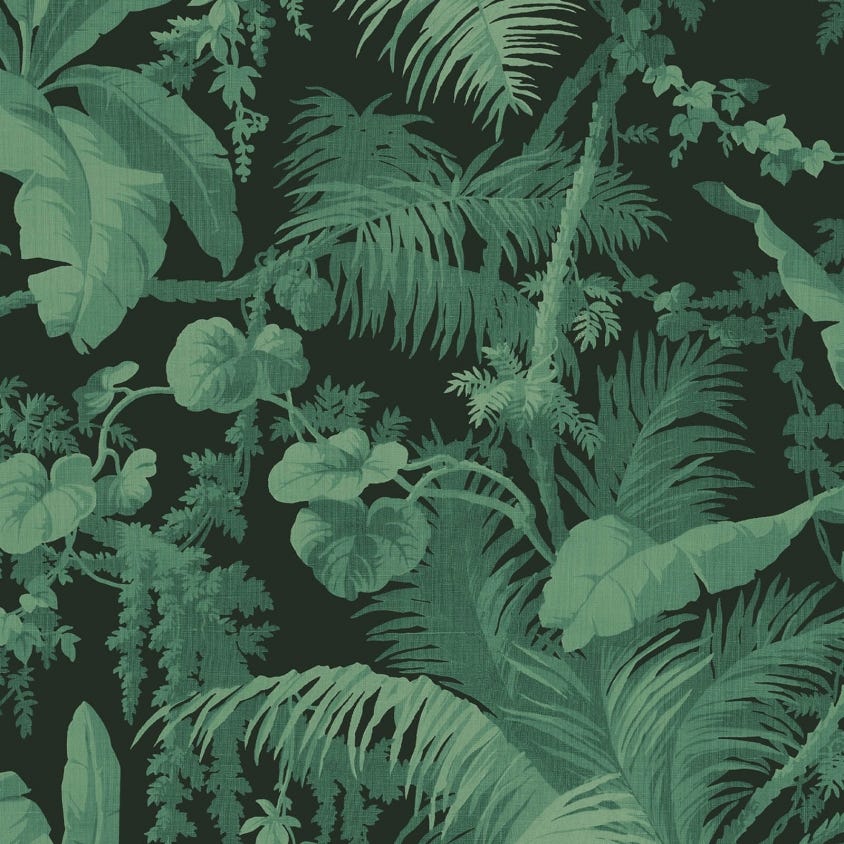 PAMPAS Wallpaper - Noir - House of Hackney