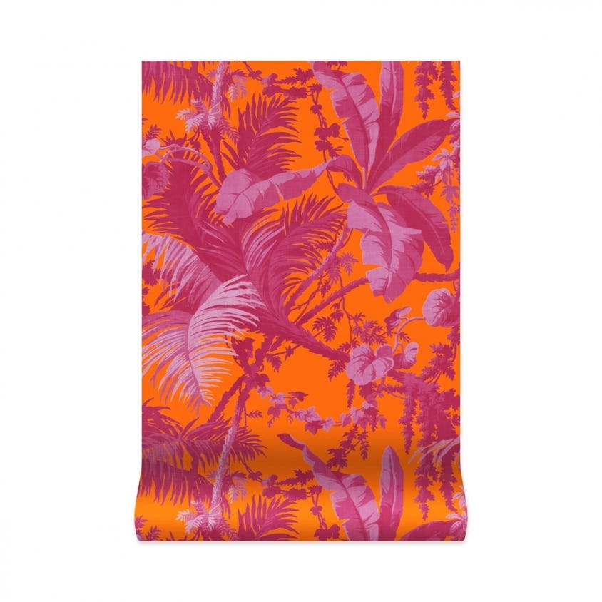 PAMPAS Wallpaper - Tangerine & Azalea - House of Hackney