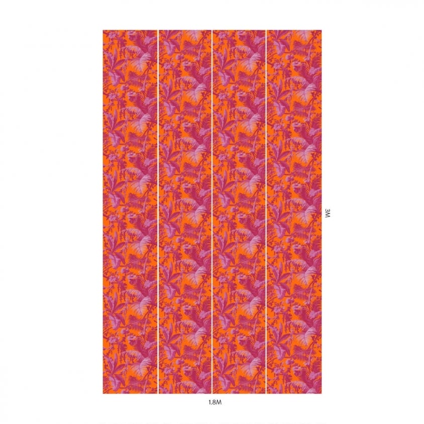 PAMPAS Wallpaper - Tangerine & Azalea - House of Hackney