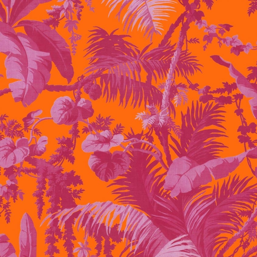 PAMPAS Wallpaper - Tangerine & Azalea - House of Hackney