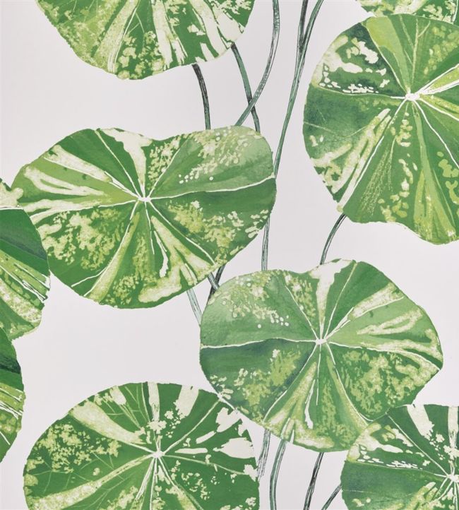Brahmi Wallpaper - Green