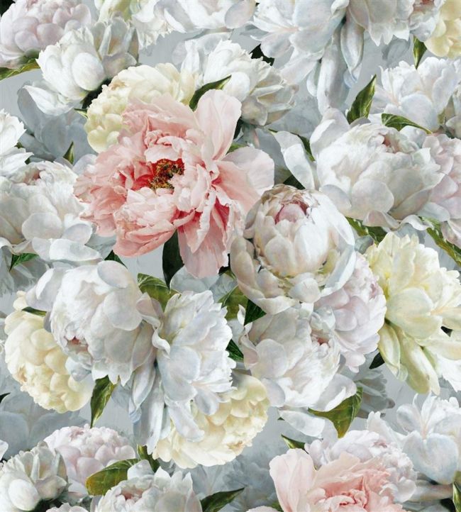 Peonia Grande Wallpaper - Green