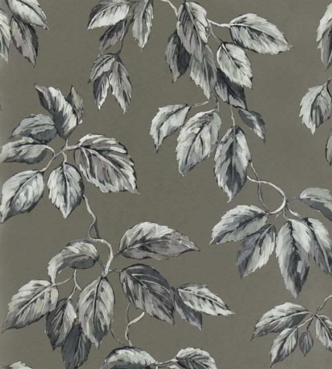 Jangal Wallpaper - Gray