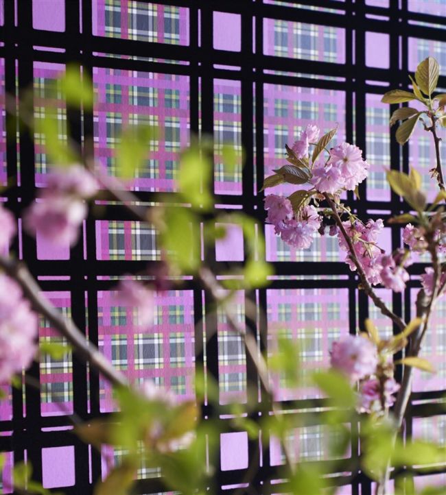 Chennai Room Wallpaper - Purple