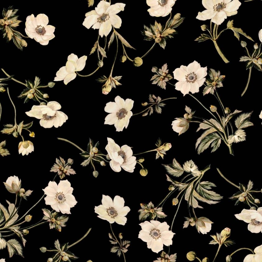 POPPIUM Wallpaper - Ebony - House of Hackney