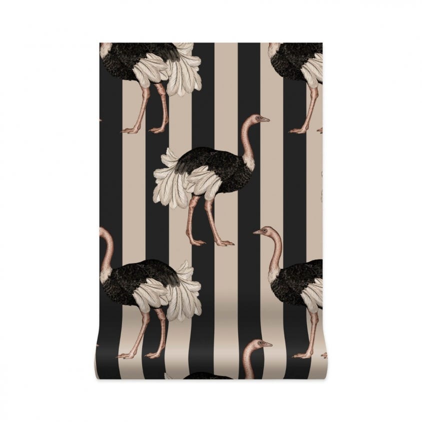 PRIDE Wallpaper - Clay & Off-Black - House of Hackney